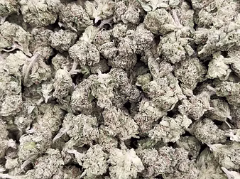 Candy Nerds (micros)